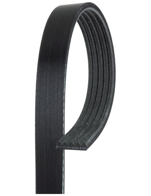CORREIA DE PISTAS 6PK2050 (MEYLE)