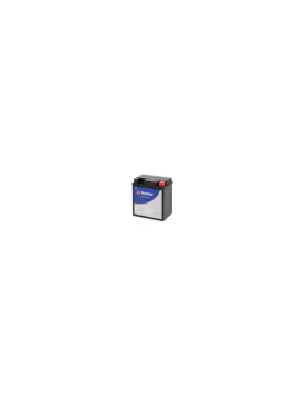 BATERIA DE MOTA GEL = YTZ8V (TECNIUM)