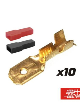 TERMINAIS MACHO C/ CAPAS (10 TERMINAIS  + 10 CAPAS)