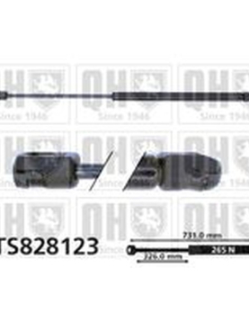 AMORTECEDOR DE CAPOT VW GOLF VI 5P 08- = AG-50300 (730L 265N)