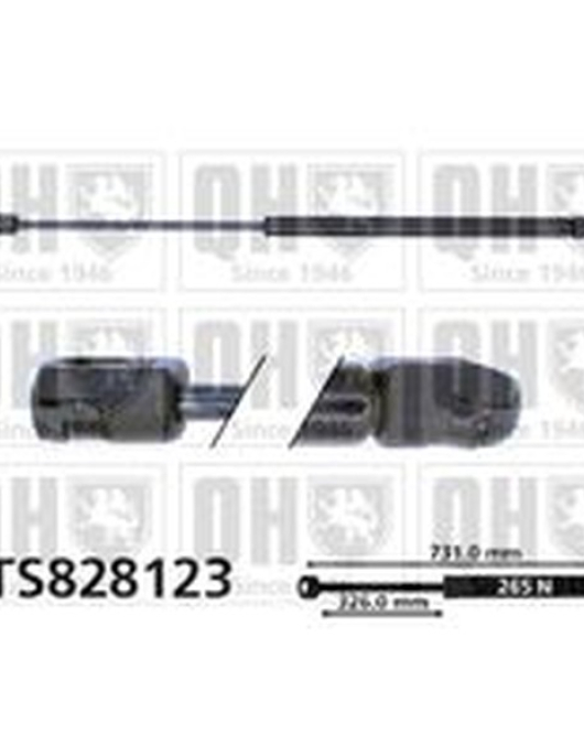 AMORTECEDOR DE CAPOT VW GOLF VI 5P 08- = AG-50300 (730L 265N)