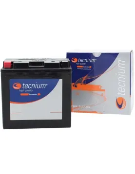 BATERIA DE MOTA GEL = YT14B-BS (12A 210CCA) C/ SIGOU (TECNIUM)
