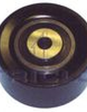 POLIE DE DESVIO = 531055010 MC5488 (60X26.5) (TRICLO)