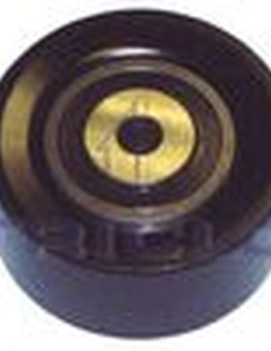 POLIE DE DESVIO = 531055010 MC5488 (60X26.5) (TRICLO)