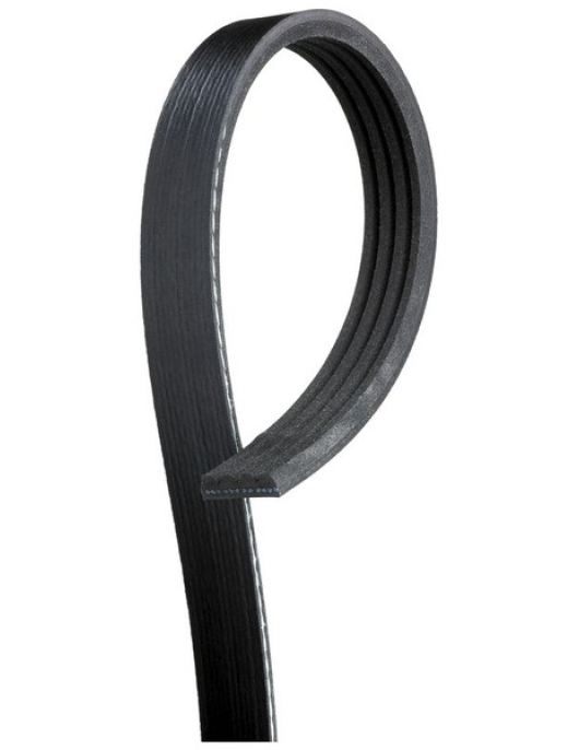 CORREIA VENTU.4 PIS.X 1487