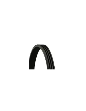 CORREIA DE PISTAS = 4PK850 (DENCKERMANN)