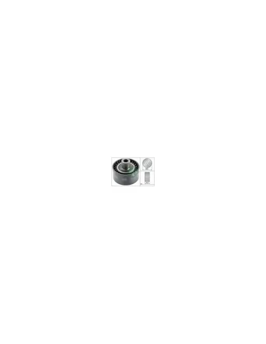 POLIE DE ESVIO = MC5450 532053810 (60X30mm) (INA)