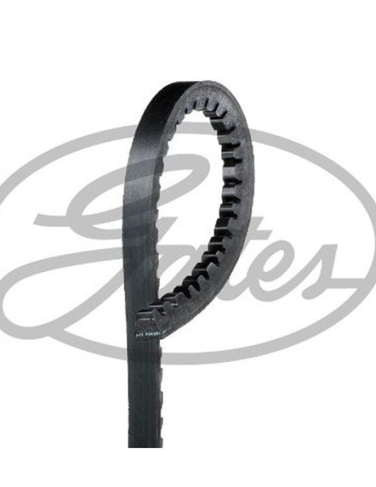 CORREIA DE VENTUINHA = 11.5X685 (GATES)