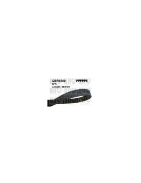 CORREIA DE PISTAS =6PK0850