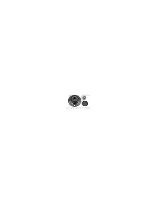 CUBO DE RODA = R15731 ADV188301 (NK)