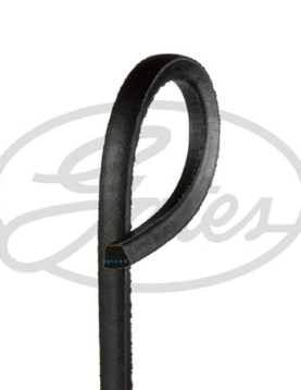 CORREIA DE VENTOINHA = 17X1750 (GATES)