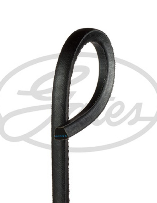CORREIA DE VENTOINHA = 17X1750 (GATES)