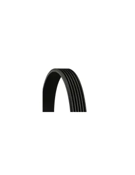 Correia trapezoidal