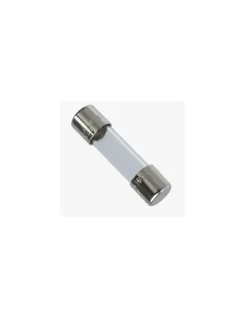 FUSIVEL DE VIDRO 10A 5X20mm (UNIDADE)