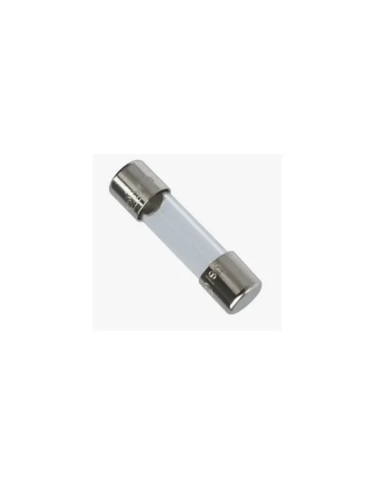 FUSIVEL DE VIDRO 10A 5X20mm (UNIDADE)