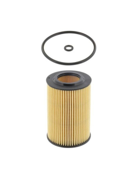 FILTRO DE OLEO = FA6119ECO ADV182125