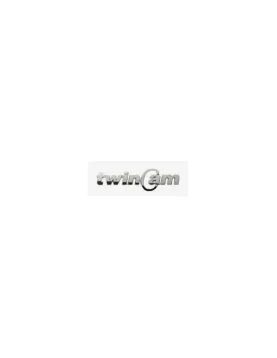EMBLEMA TWINCAM