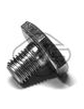 BUJAO DE CARTER CITROEN/PEUGEOT (M10X1.25)