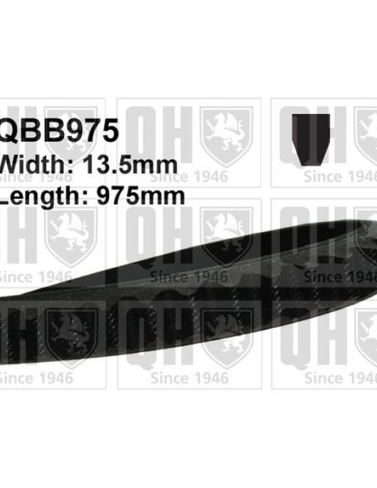 CORREIA DE VENTOINHA = 13X975 (QH)
