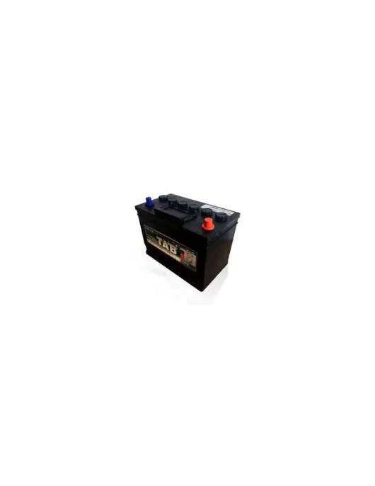 TAB BATERIA 80 AH +ESQ 700EN (269X173X218) C/PFU