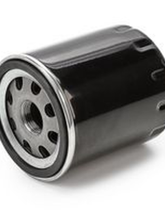 FILTRO OLEO = FT4993 FT5266 FT5332 FT5350 FT5656 FT5681 FT5738 ADT32116 (20X1.5)